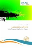 Laeosopis roboris Laeosopis roboris