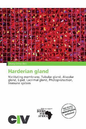 Harderian gland