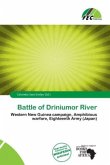 Battle of Driniumor River