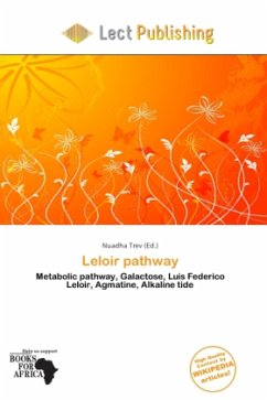 Cover Leloir pathway