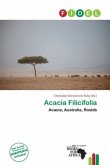 Acacia Filicifolia