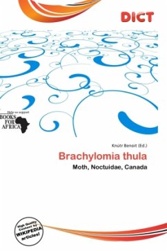 Brachylomia thula