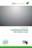 Lasionycta luteola