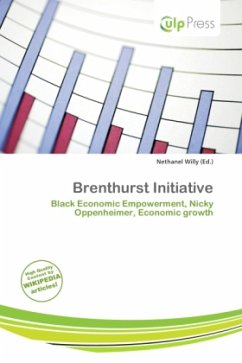 Cover Brenthurst Initiative