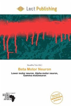 Cover Beta Motor Neuron