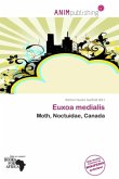 Euxoa medialis Euxoa medialis