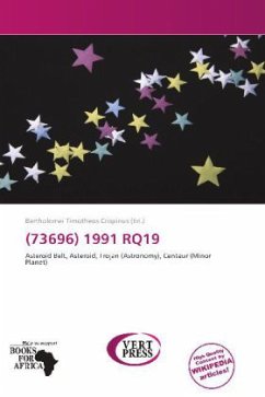 (73696) 1991 RQ19