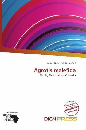 Agrotis malefida Agrotis malefida