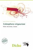 Coleophora virgaureae