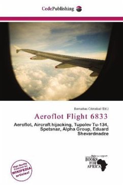Cover Aeroflot Flight 6833