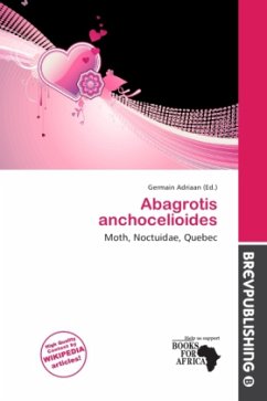 Abagrotis anchocelioides