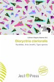 Dioryctria clarioralis Dioryctria clarioralis
