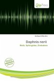 Daphnis nerii