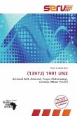 (13972) 1991 UN3