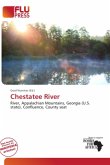 Chestatee River Chestatee River