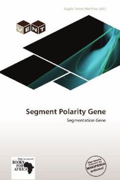 Segment Polarity Gene