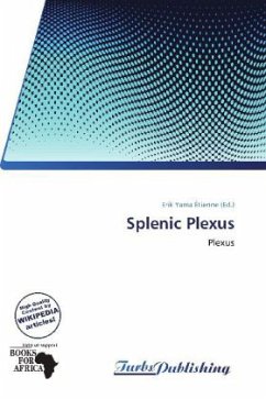 Splenic Plexus