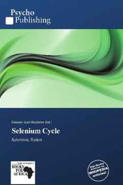 Selenium Cycle