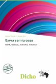 Exyra semicrocea Exyra semicrocea