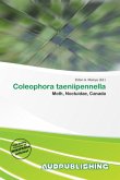 Coleophora taeniipennella Coleophora taeniipennella