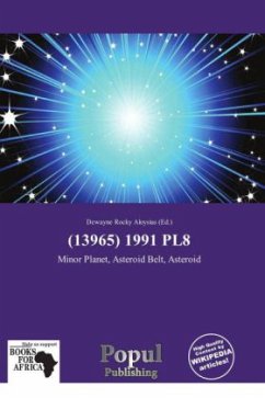 Cover (13965) 1991 PL8