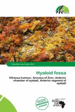Cover Hyaloid fossa