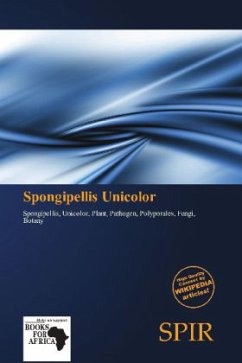 Spongipellis Unicolor