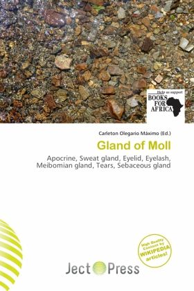 Gland of Moll Gland of Moll