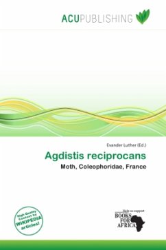 Agdistis reciprocans Agdistis reciprocans