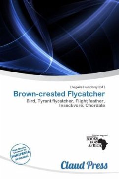 Brown-crested Flycatcher