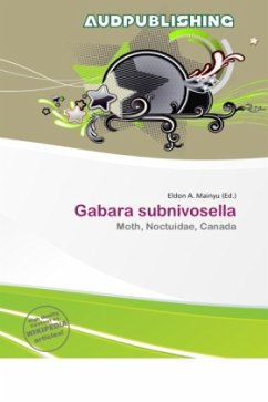 Cover Gabara subnivosella