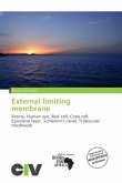 External limiting membrane