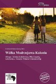 Wólka Modrzejowa-Kolonia