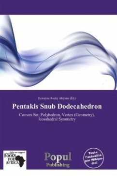 Pentakis Snub Dodecahedron