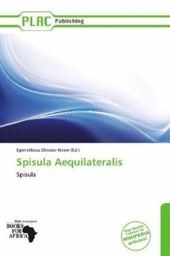 Spisula Aequilateralis