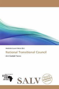 National Transitional Council
