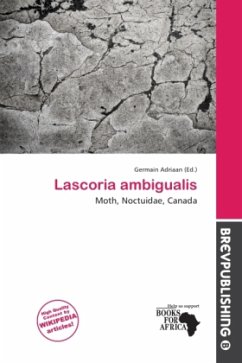 Lascoria ambigualis Lascoria ambigualis