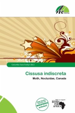 Cissusa indiscreta