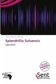 Splendrillia Suluensis