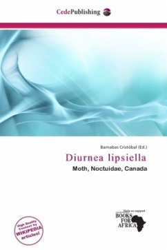 Cover Diurnea lipsiella