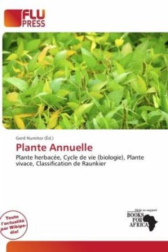 Plante Annuelle