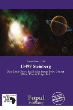 Cover 13499 Steinberg