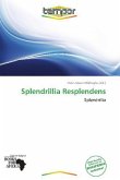 Splendrillia Resplendens