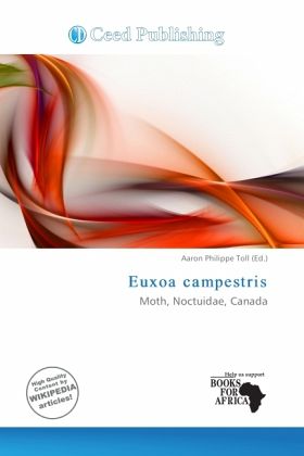 Euxoa campestris Euxoa campestris