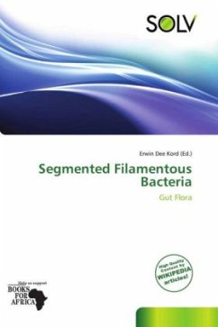 Segmented Filamentous Bacteria