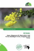 Artmic Artmic