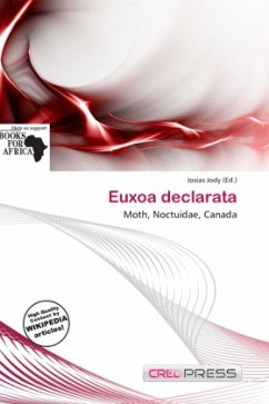 Euxoa declarata