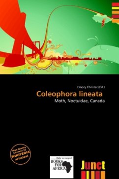 Coleophora lineata Coleophora lineata