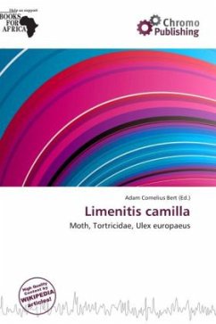 Cover Limenitis camilla
