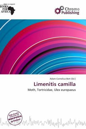 Limenitis camilla Limenitis camilla